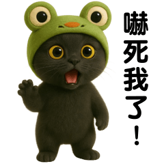 Black Cat Frog Hat Tuatung (TW)
