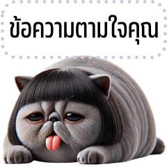 เปลี่ยนข้อความตามใจ: เจ้าเหมียว จอมกวน