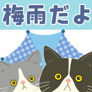 Convenient greeting sticker 41