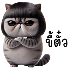 เว้าอีสาน (Ver.เจ้าเหมียว จอมกวน)