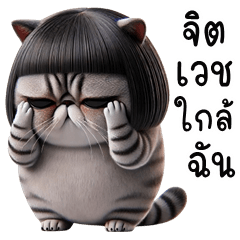 เจ้าเหมียว จอมกวน
