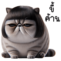 อู้กำเมือง (Ver.เจ้าเหมียว จอมกวน)