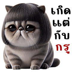 เจ้าเหมียว จอมกวน (บิ๊กสติกเกอร์)