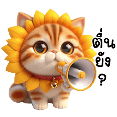 แมวส้มหน้าบูด หัวทานตะวัน น่ารัก