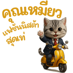 Luxurious Meow: The Fashionista Cat