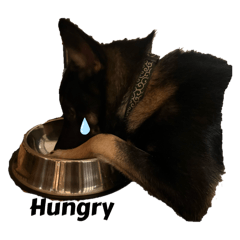 子犬のviviくんスタンプ