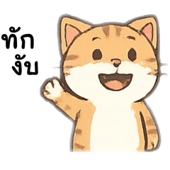 Wanwanat_20250509162604