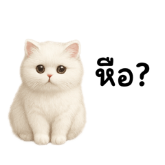 Cute cat stickers1235