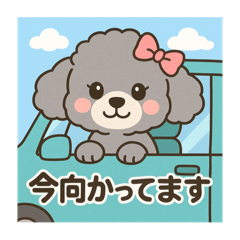 シルバープードル　可愛い女の子　スタンプ