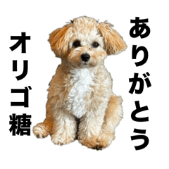 パームやん 第1弾