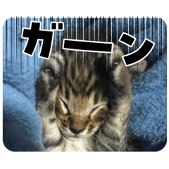 Chie_20250510125722