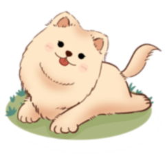 มะหมาเสี่ยวเปา