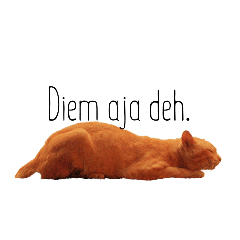 Kucing Orange Stiker Line Line Store