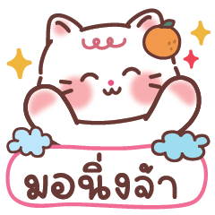 แมวส้ม ใช้บ่อยคุยกับเธอ