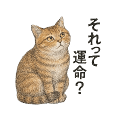 しれっというねこ