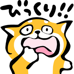 ふでしば【感情】柴犬