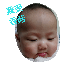 阿寶醬的日常