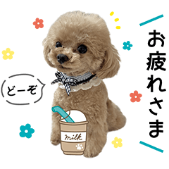 るなアニマルズ！