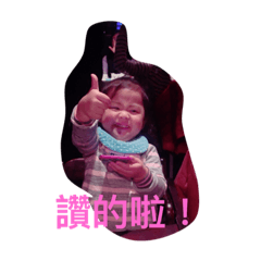 安菲日常