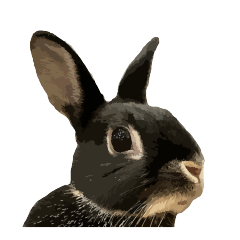 Cute rabbits of Rabbit Island