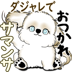 New Shih tzu 2025 (With a pun)