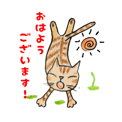 オクラの毎日