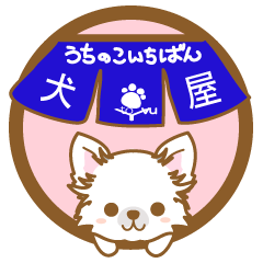 INUYA-utinokoitiban-(chihuahua)5