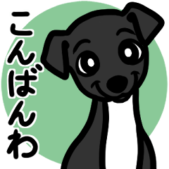 (Black4)puppy Italian greyhound sticker