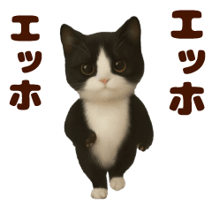 Dancing! Nyanko MAX
