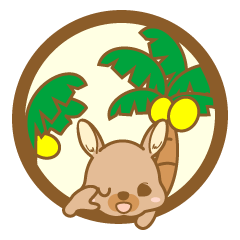 bunny island2