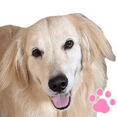 Toki-kun and His Merry Friends