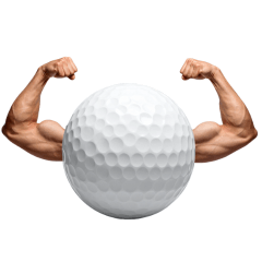 Fun Golf4!