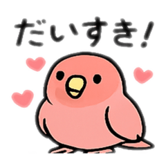 Parakeet Koko