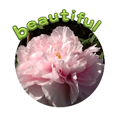 Beautiful lage fiower stamp
