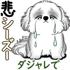 New B&W Shih tzu 2025 (With a pun)