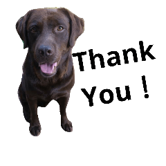 my dogs (leon&gin)no.1