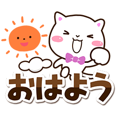 Very cute white cat115