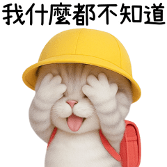 幼稚園貓貓 ❤️保持聯絡❤️