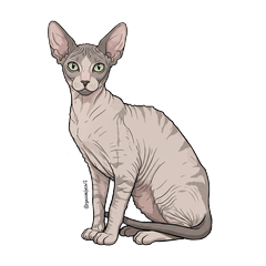 General purpose Cornish Rex sticker:3
