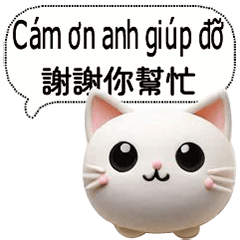 越南台灣常用對話狗狗貓貓寵物3