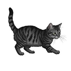 black Mackerel Tabby sticker:3