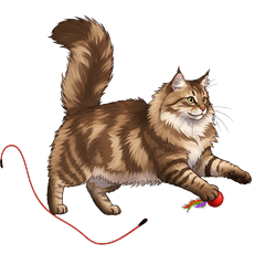 Norwegian Forest Cat sticker:3