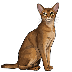 General purpose Abyssinian sticker:3