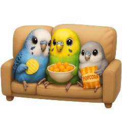 Budgie Family P & Q - Staying at Home