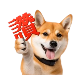感動！豆柴的真實日常生活
