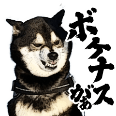 sumisumi animation sticker