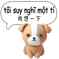 Vietnam Taiwan dogs cats pets5