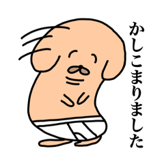 パンツを履いた犬２