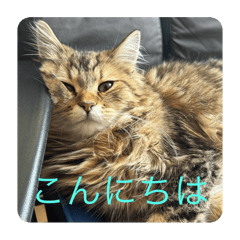 yuto_20250511081137