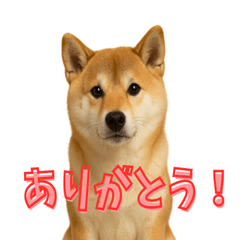 ありがとうアニマルフレンズ